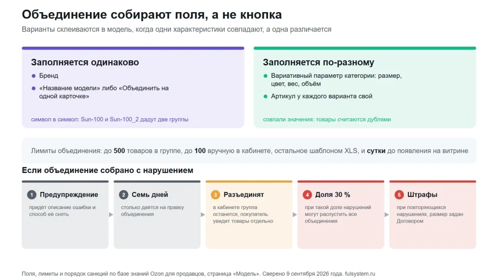 Две карточки полей: одинаково заполняются бренд и название модели, по-разному вариативный параметр категории и артикул; ниже полоса лимитов объединения и пять ступеней санкций за неправильную группу