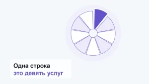 Диск, разрезанный на девять секторов, один сектор выдвинут из круга и залит фиолетовым
